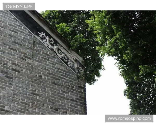 深入了解ag8娱乐的特点与优势，带你玩转线上娱乐新天地