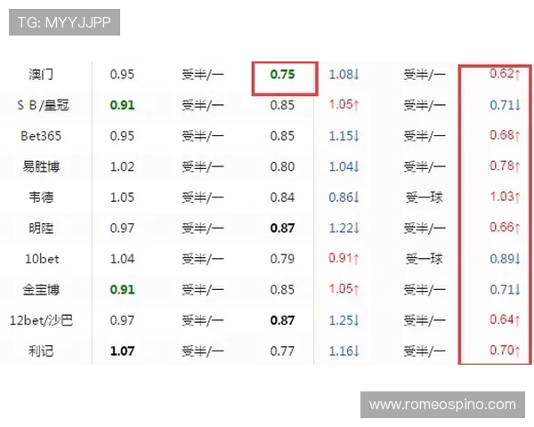 理解ag盘口的基本概念与常见术语，提升你的专业水平